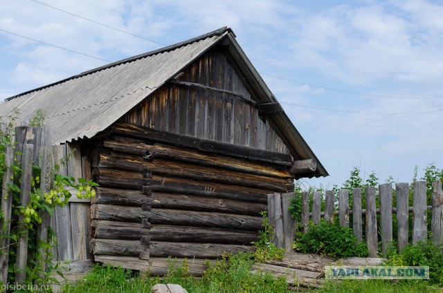 Десять дней без соц. сетей