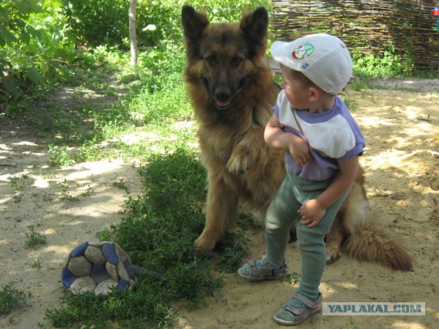 Наш новый член семьи