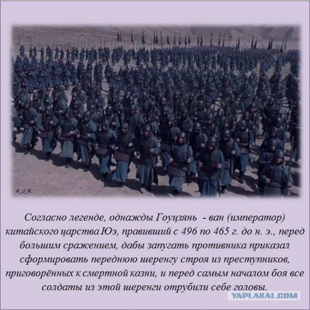 20 фактов обо всем