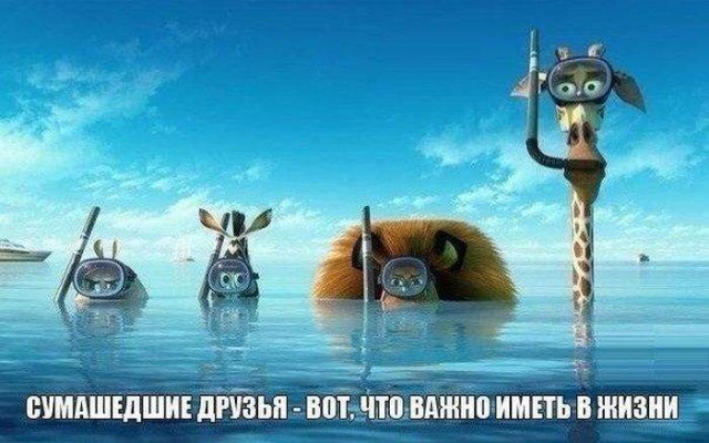 Смешные и не очень картинки из ВК