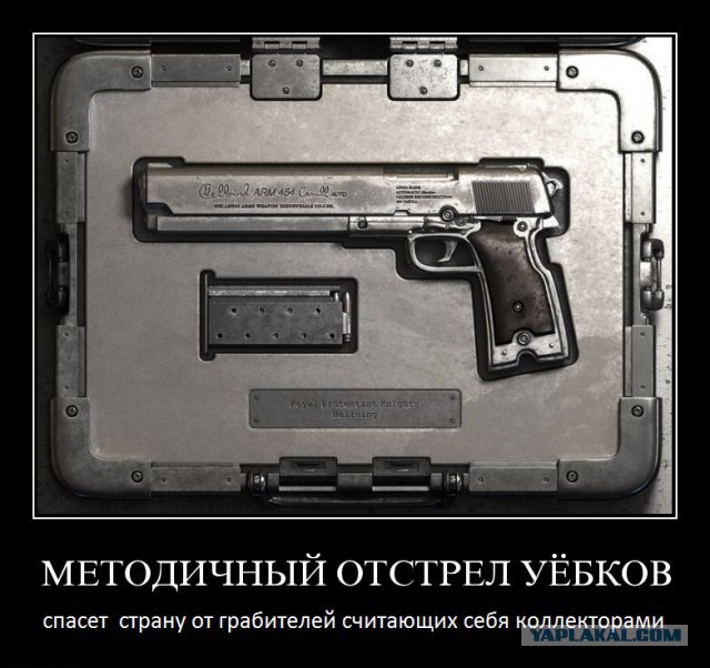 Коллекторы ограбили павильон на "Юноне"