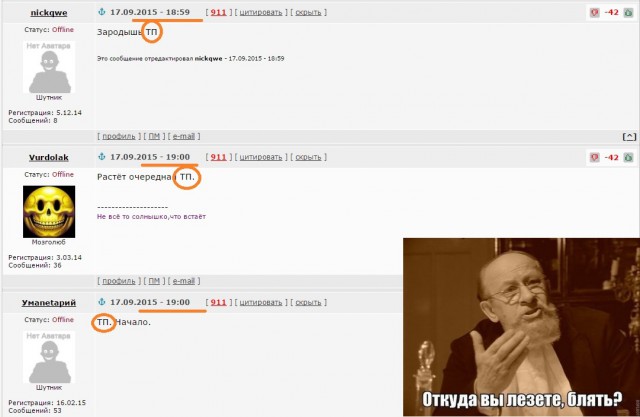 Полжизни коту под хвост
