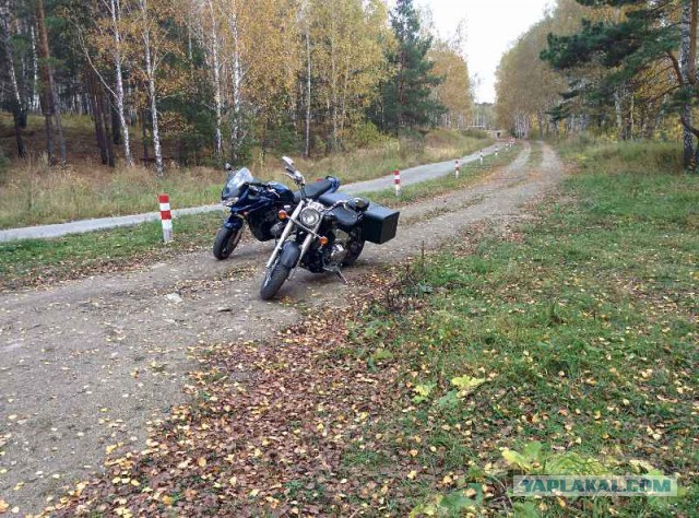 Да у вас мототоксикоз!