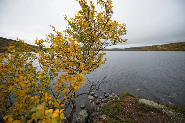 Поездка на Кольский полуостров.