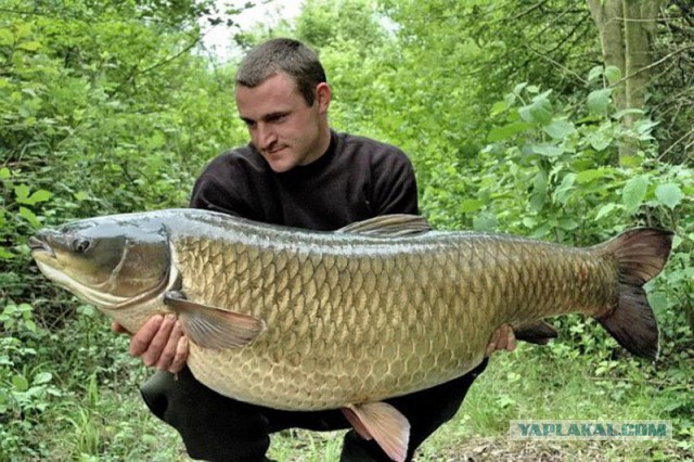 Удачная-неудачная рыбалка