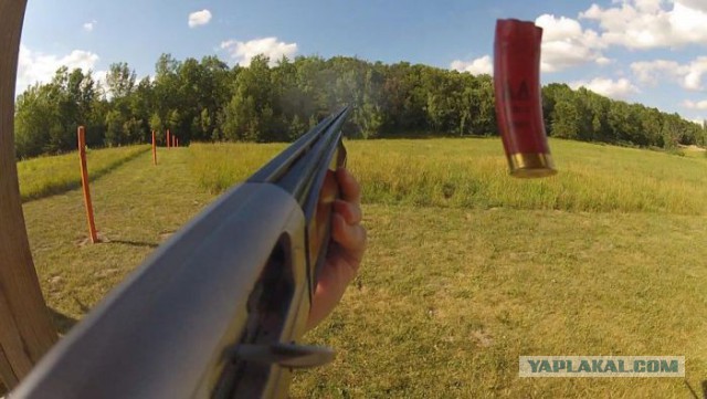 Фото сделанные в нужный момент