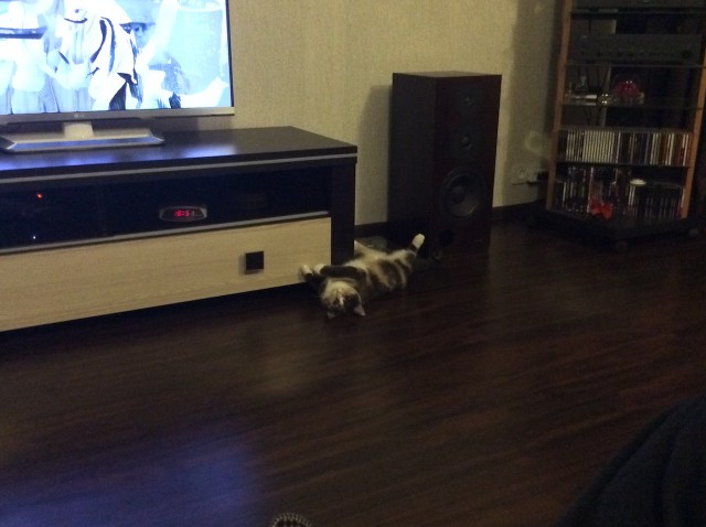 История одной фотографии