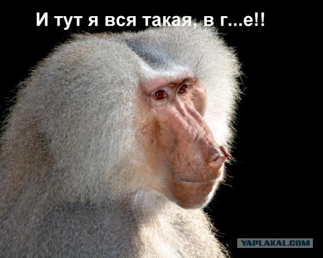 Юлию Латынину облили фекалиями около редакции "Эха Москвы"