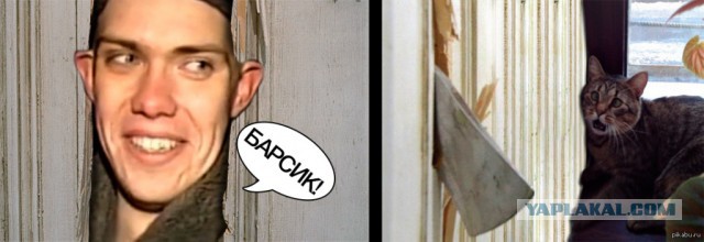 Спасение котёнка