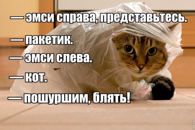 Подборка картинок