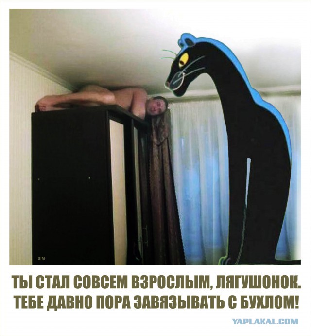 Ужасы и приколы из соцсетей 18+