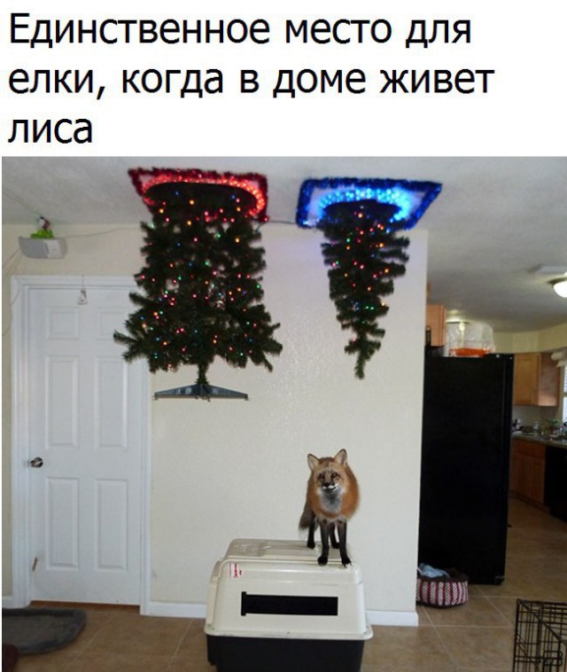 Всячина. Картинки и тексты картинками.