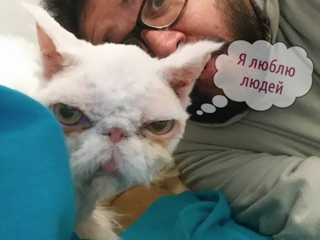 Деградации пост