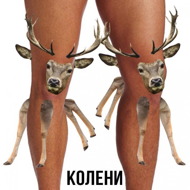 Шлакоблокунь и друзья