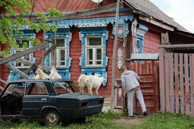 Подборка интересных и веселых картинок