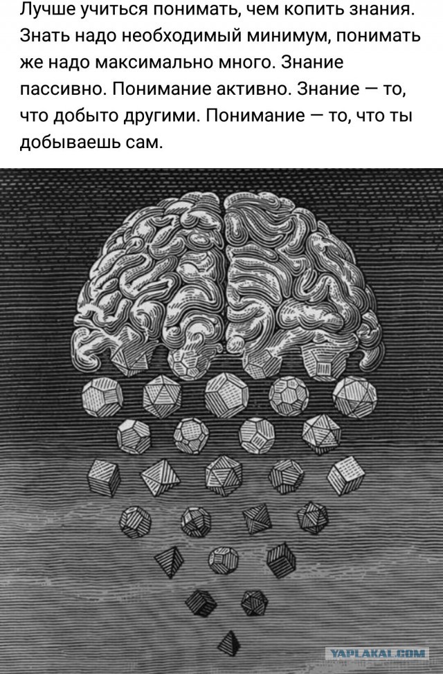 Продолжаем мизантропизировать....