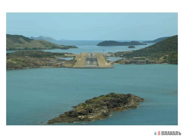 Это ж как они туда попадают?!