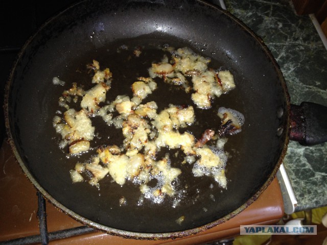 нищебродская кашка, музыкальная