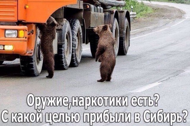 Картинки по-приколу