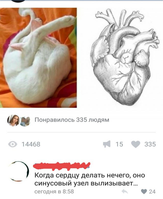 Немного картинок в эту пятницу
