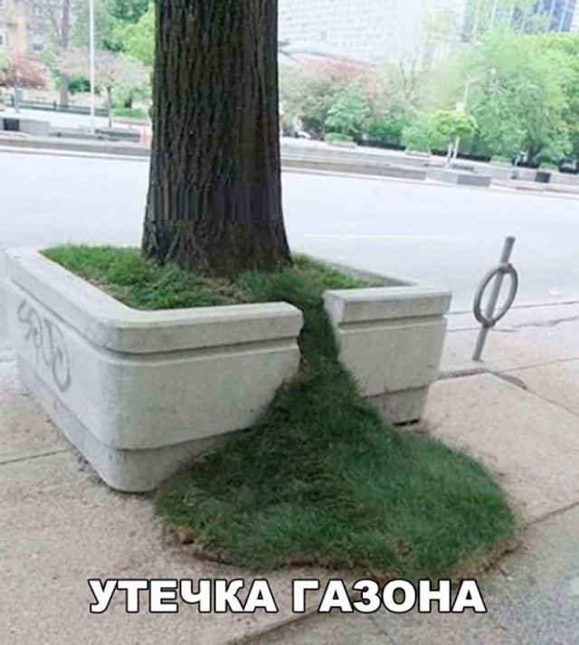 Нестандартный юмор