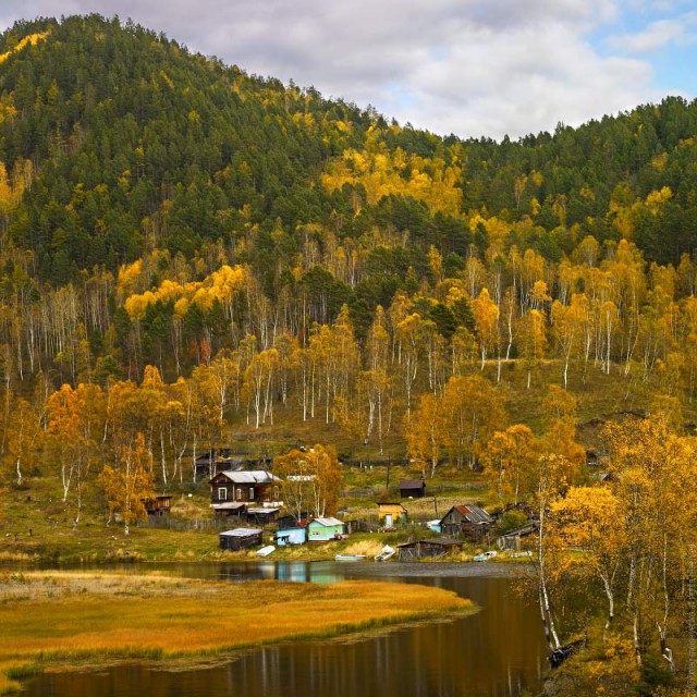 Осенняя тайга