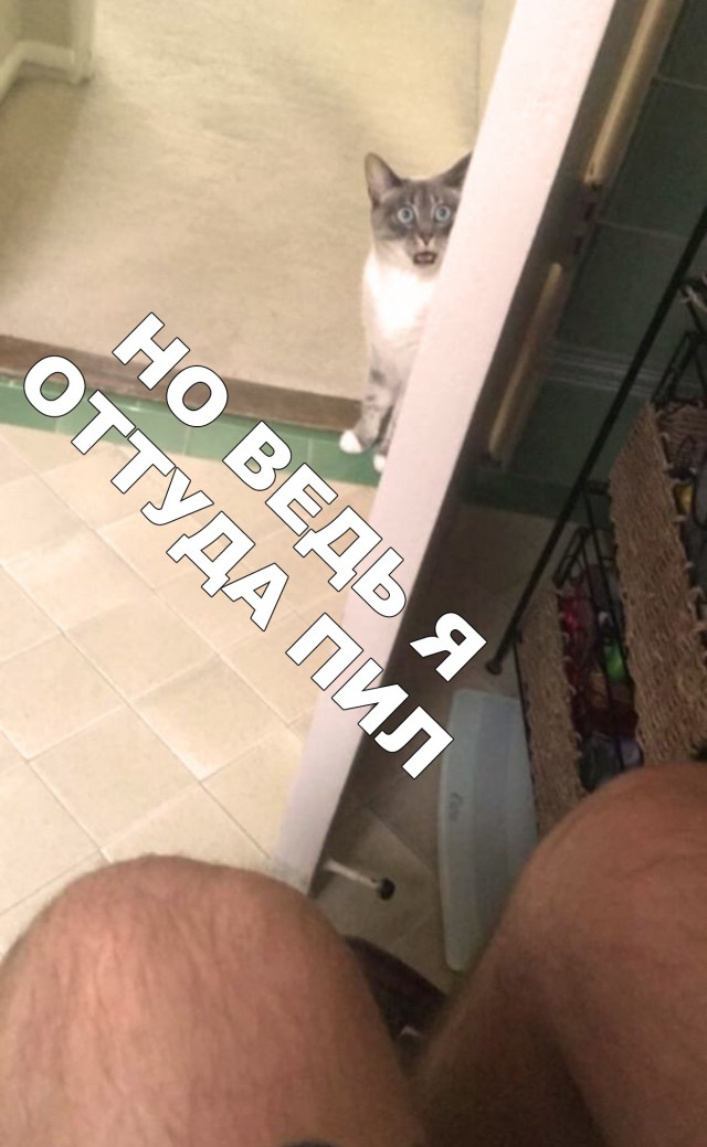 Нестандартный юмор