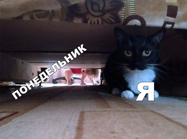 Нестандартный юмор