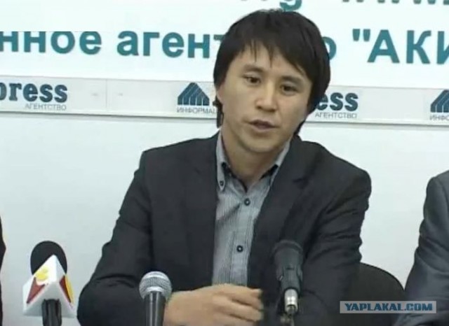 Котовторник (07.02.2012)