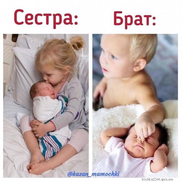 Порция картинок