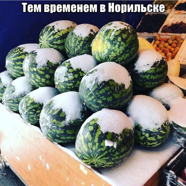 Воскресная фотоподборка