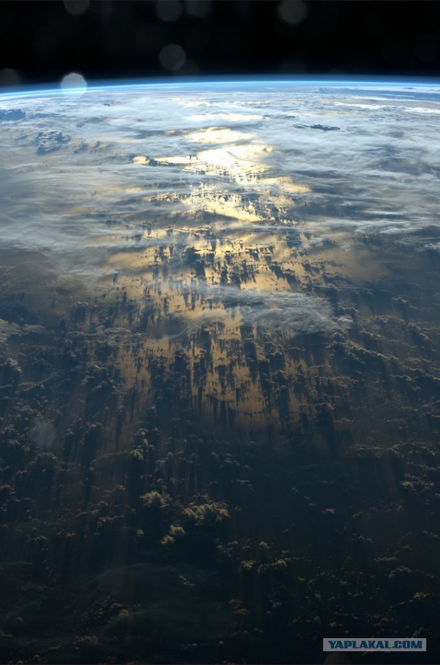 Воскресная фотоподборка