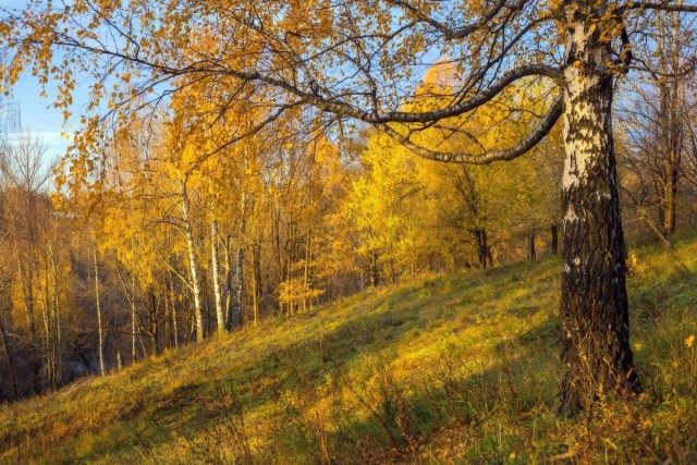 Пятничная подброка