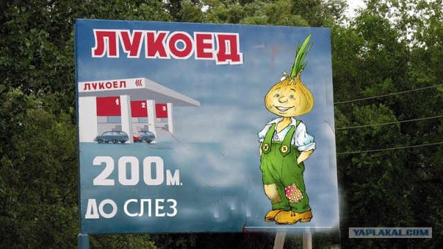 Луко ел?
