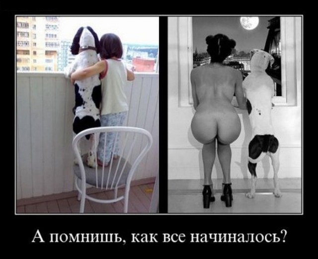 Демотиваторы во вторник и когда кончились патроны