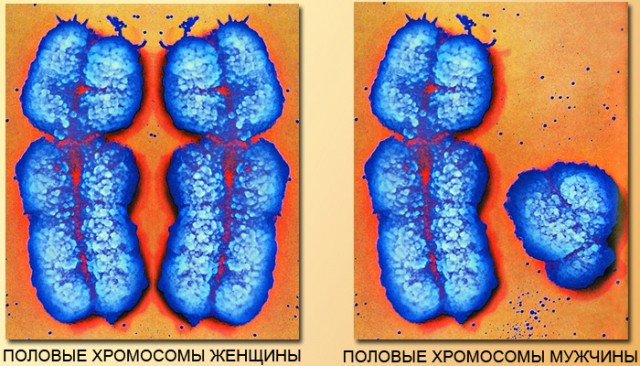 Брак - союз мужчины и женщины тчк.