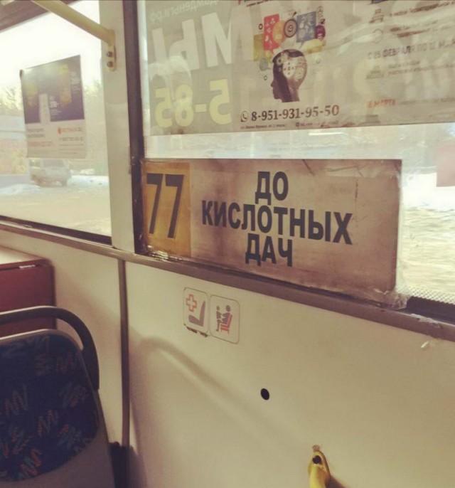 Скотсети и прочие интернеты 20.03.20