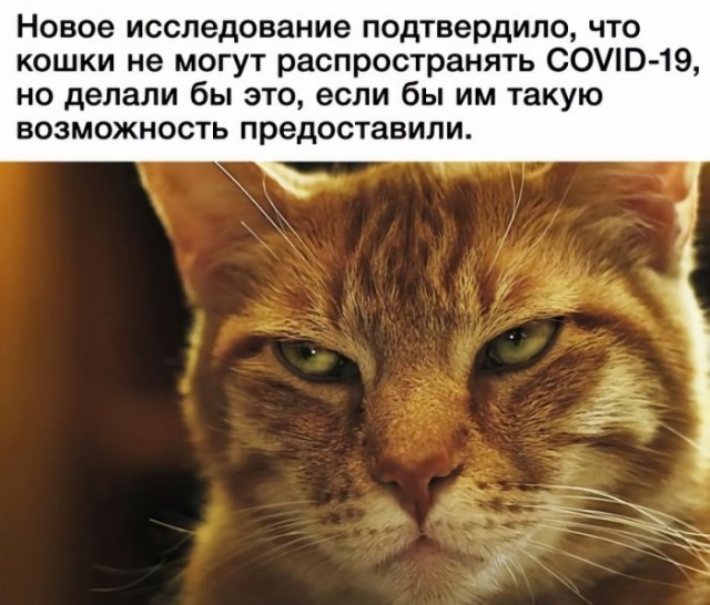 Немного картинок для настроения 19.05.20
