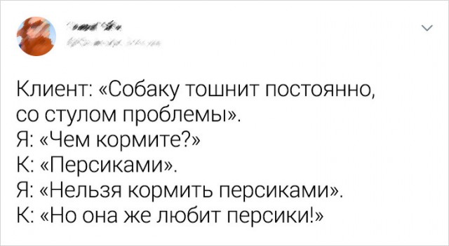 Несколько случаев из практики ветеринаров, в чьих руках — тысячи крохотных жизней