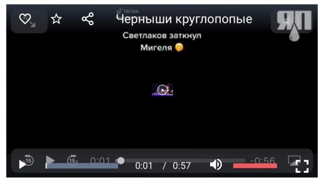 Черныши круглопопые