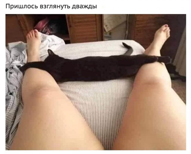 Непотребство