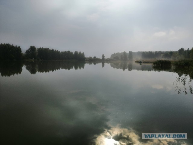 Прикольные и просто красивые картинки 03.09.2020