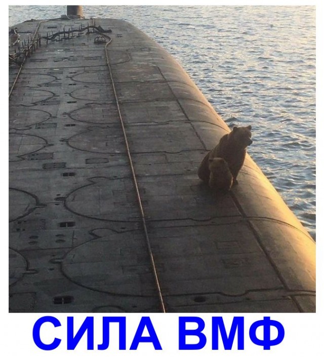 Вслед за «Арматой»: кризис подводных сил России