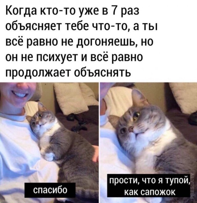 Бредзона 08.12.2020