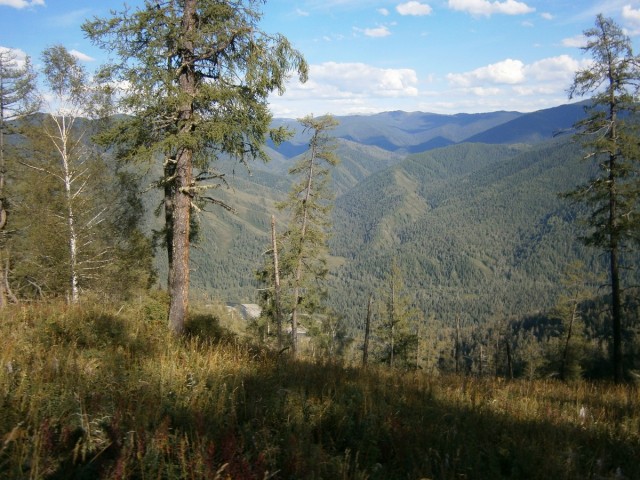 На конягах по Алтаю