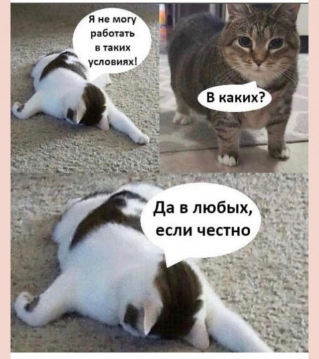 Решено!