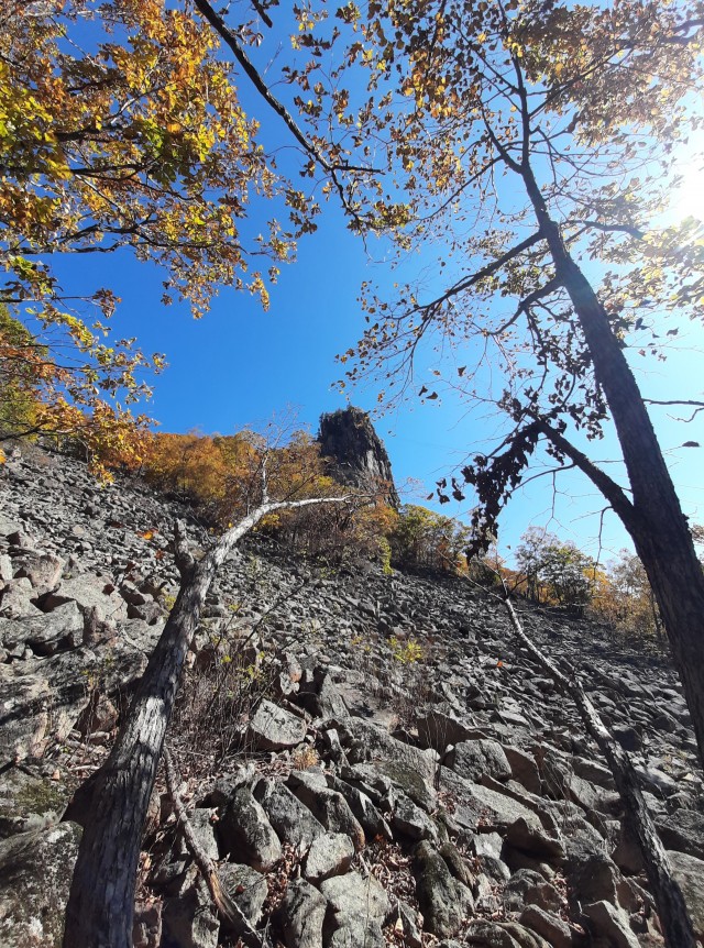 Каменные реки-курумы