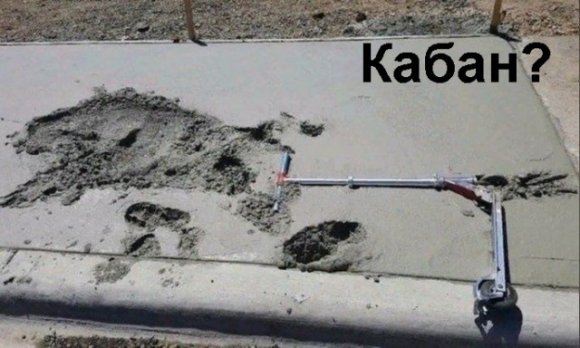 Весёлый полтишок 8.03