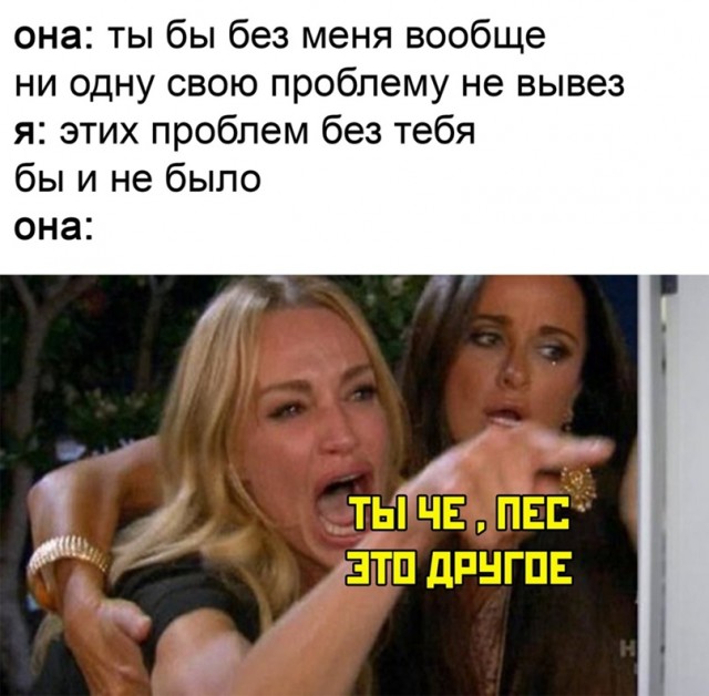 Весёлый полтишок 15.03