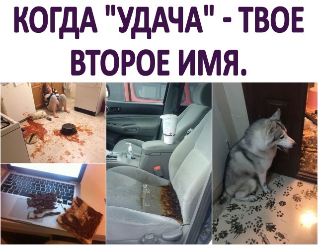 Так себе картинки 17.03.21